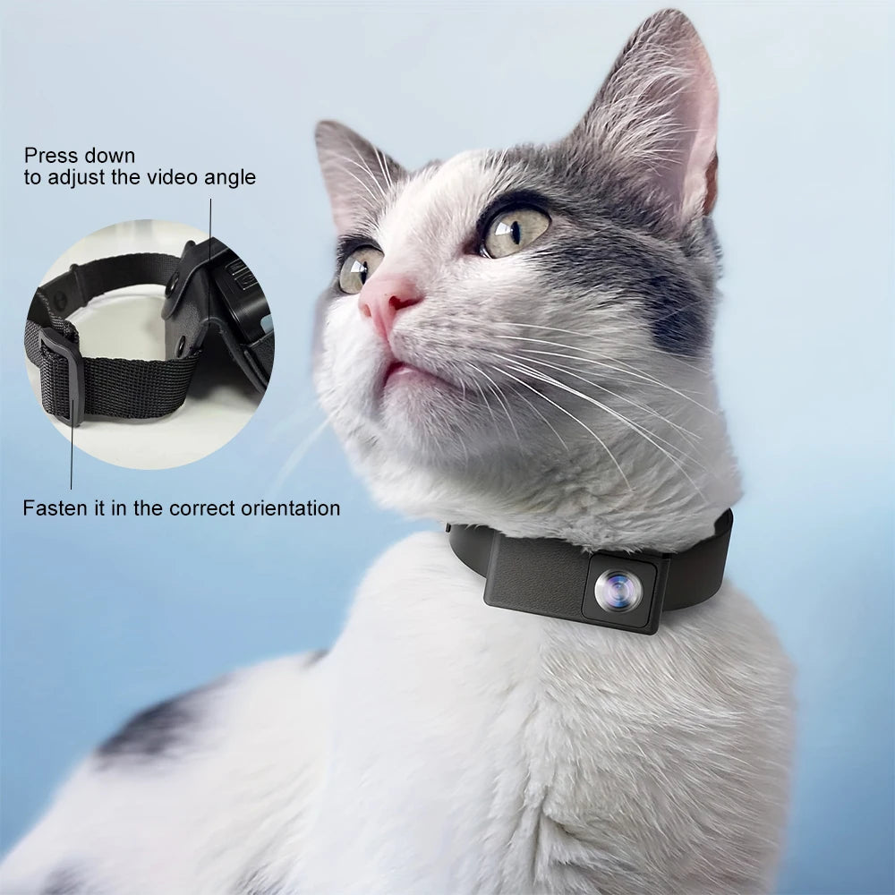 BORME HD 1080P cámaras para mascotas perro gato mascota cámara inalámbrica Collar cámara No WiFi necesario registros de vídeo para gatos perros regalo de cumpleaños