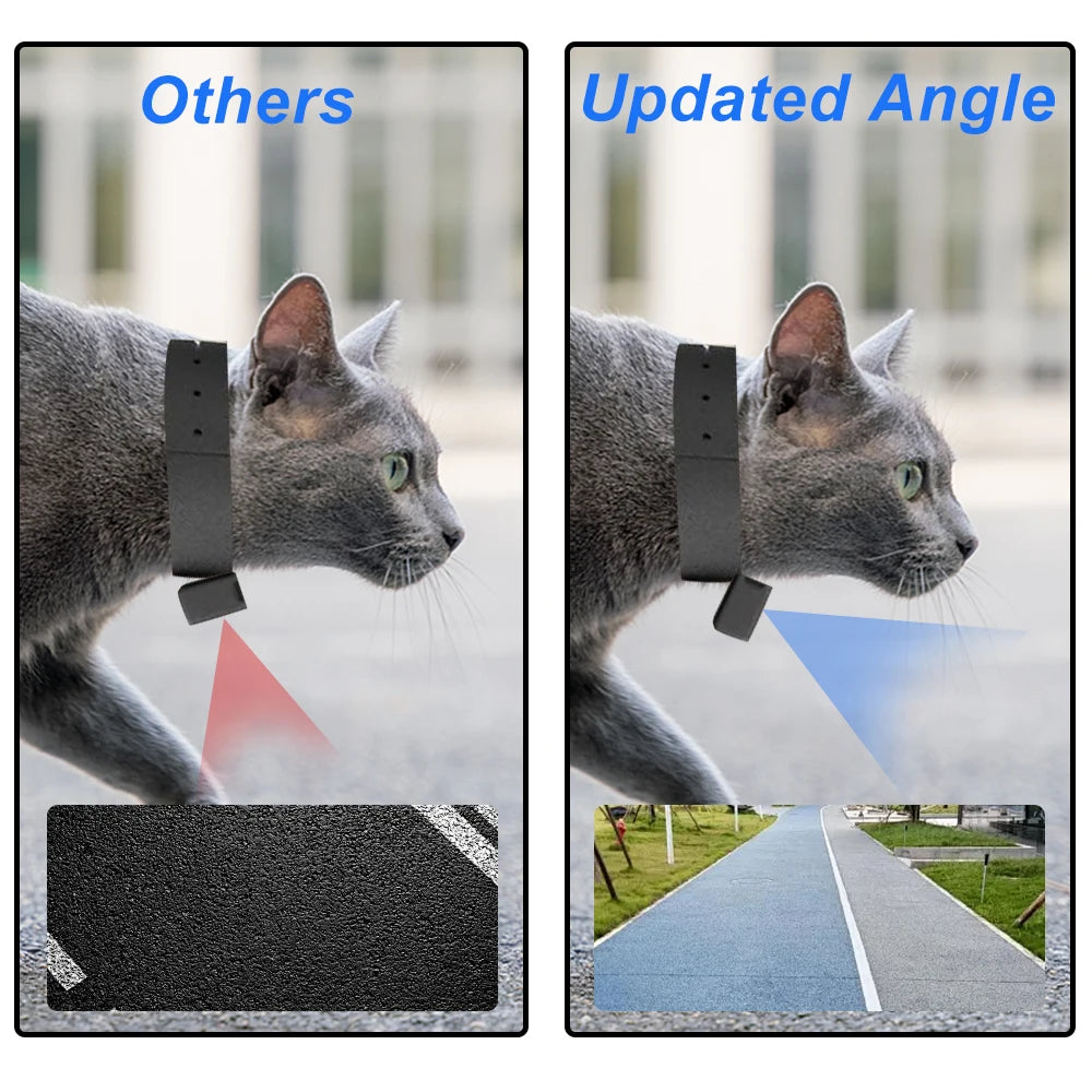 BORME HD 1080P cámaras para mascotas perro gato mascota cámara inalámbrica Collar cámara No WiFi necesario registros de vídeo para gatos perros regalo de cumpleaños