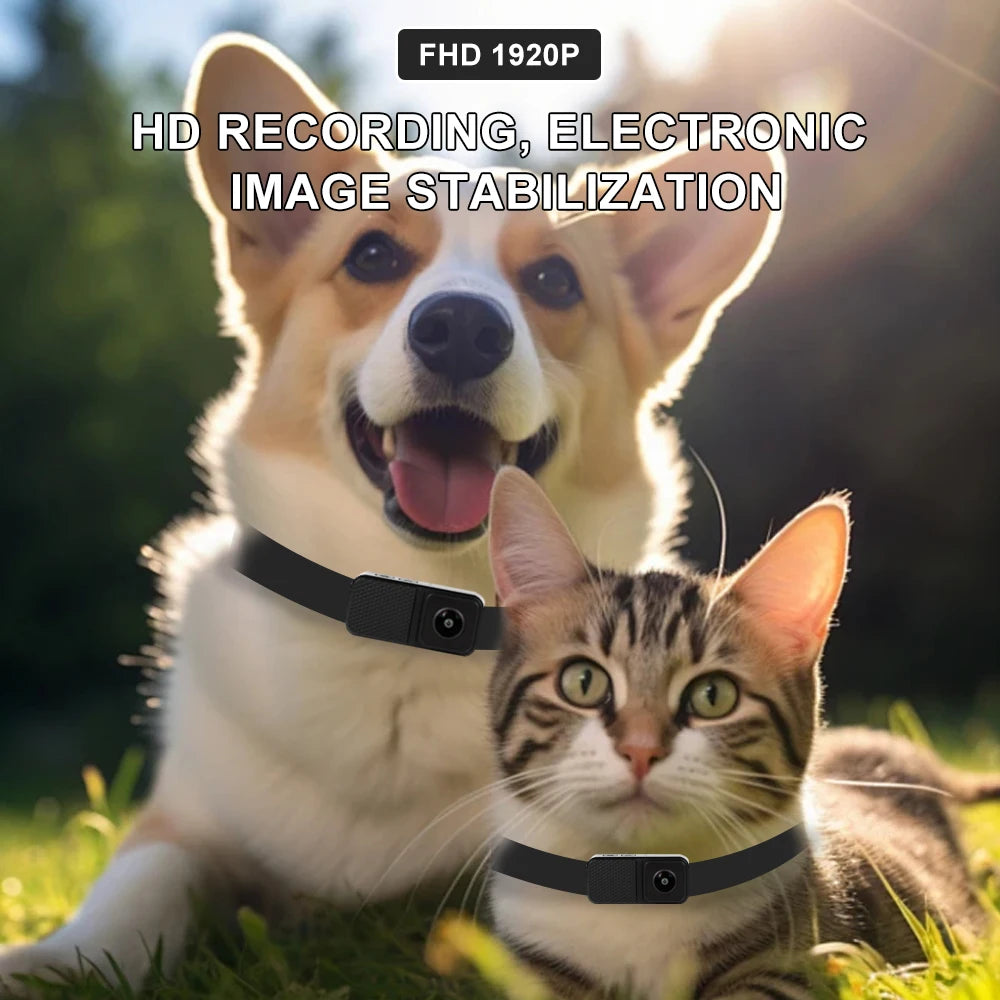 BORME HD 1080P cámaras para mascotas perro gato mascota cámara inalámbrica Collar cámara No WiFi necesario registros de vídeo para gatos perros regalo de cumpleaños